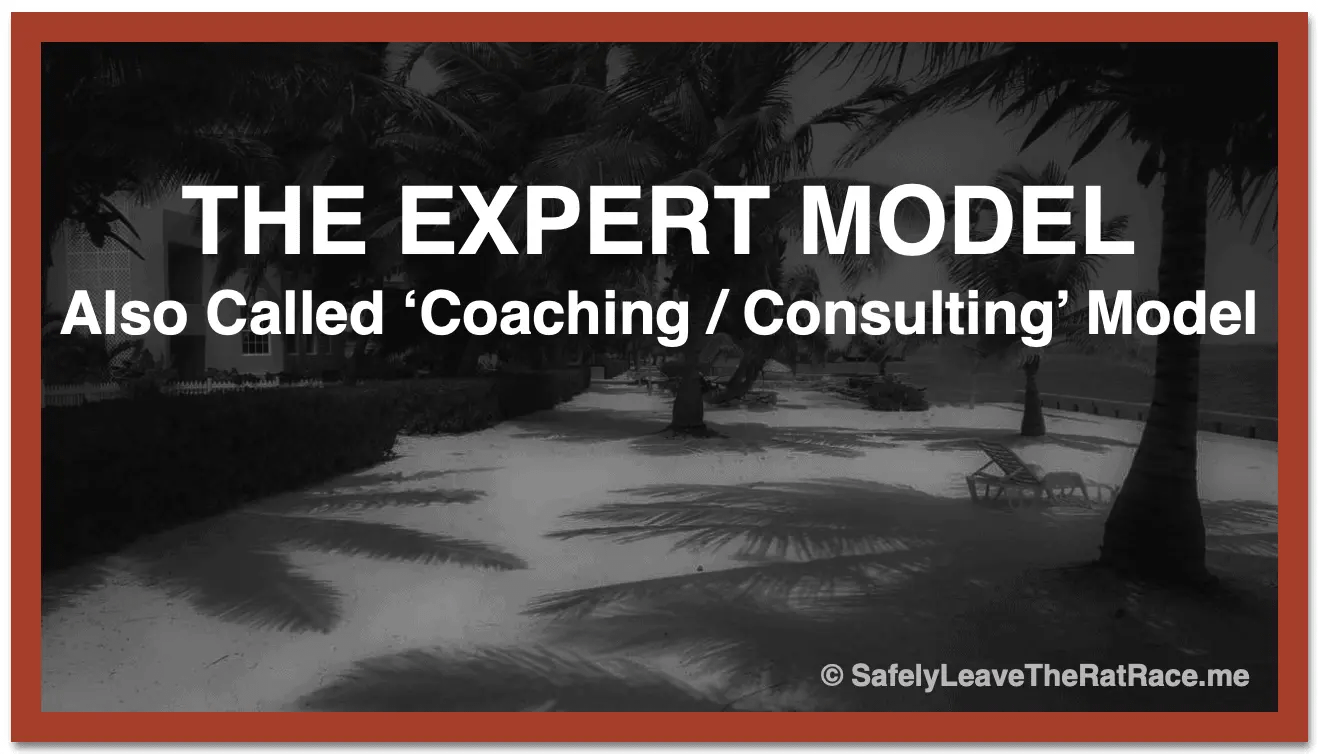Expert/Coaching/Consultiing Model